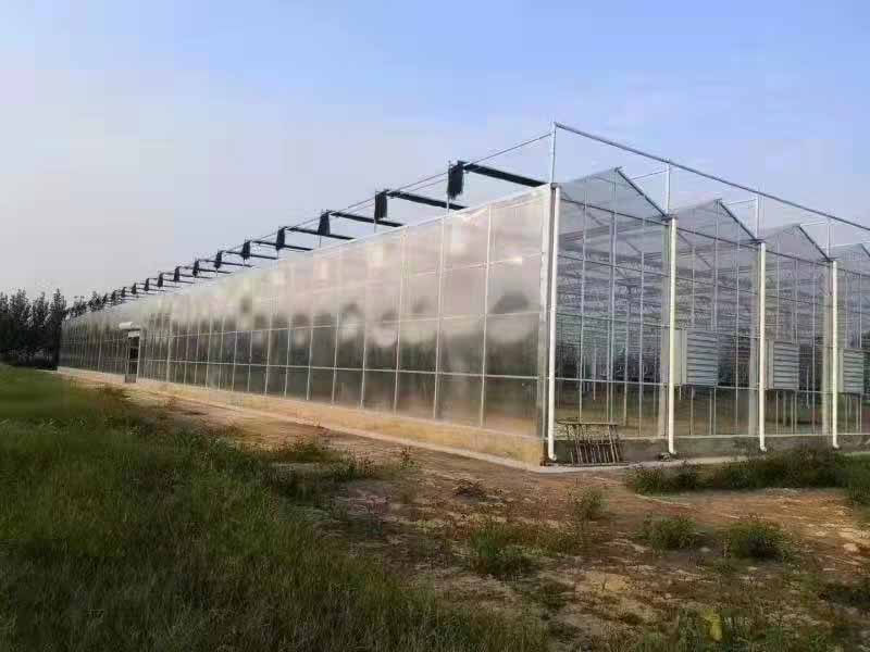 水肥一體化 水肥一體化