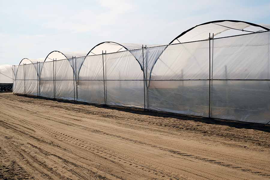 水肥一體化 水肥一體化