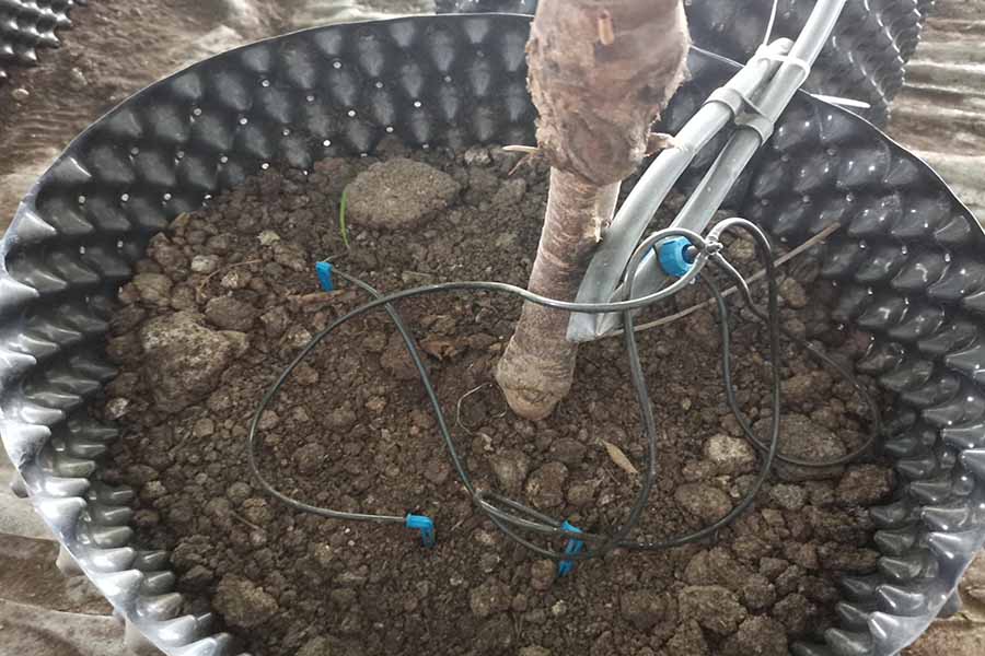 水肥一體化 水肥一體化