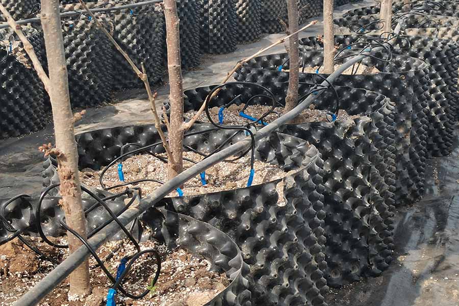 水肥一體化 水肥一體化