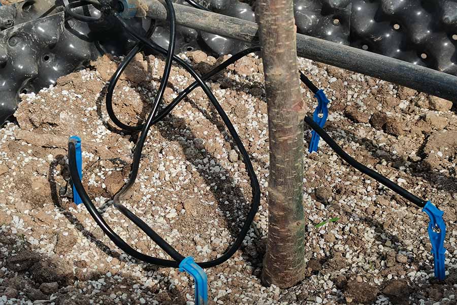 水肥一體化 水肥一體化