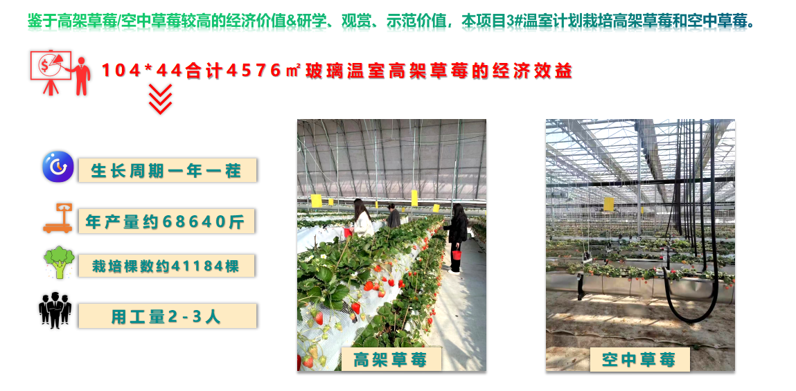 水肥一體化 水肥一體化