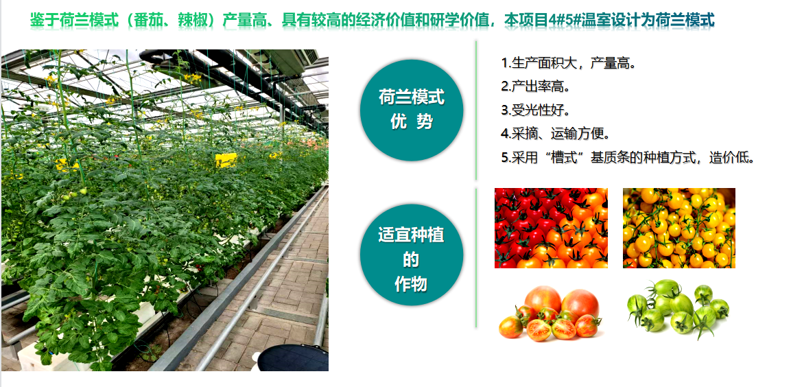 水肥一體化 水肥一體化