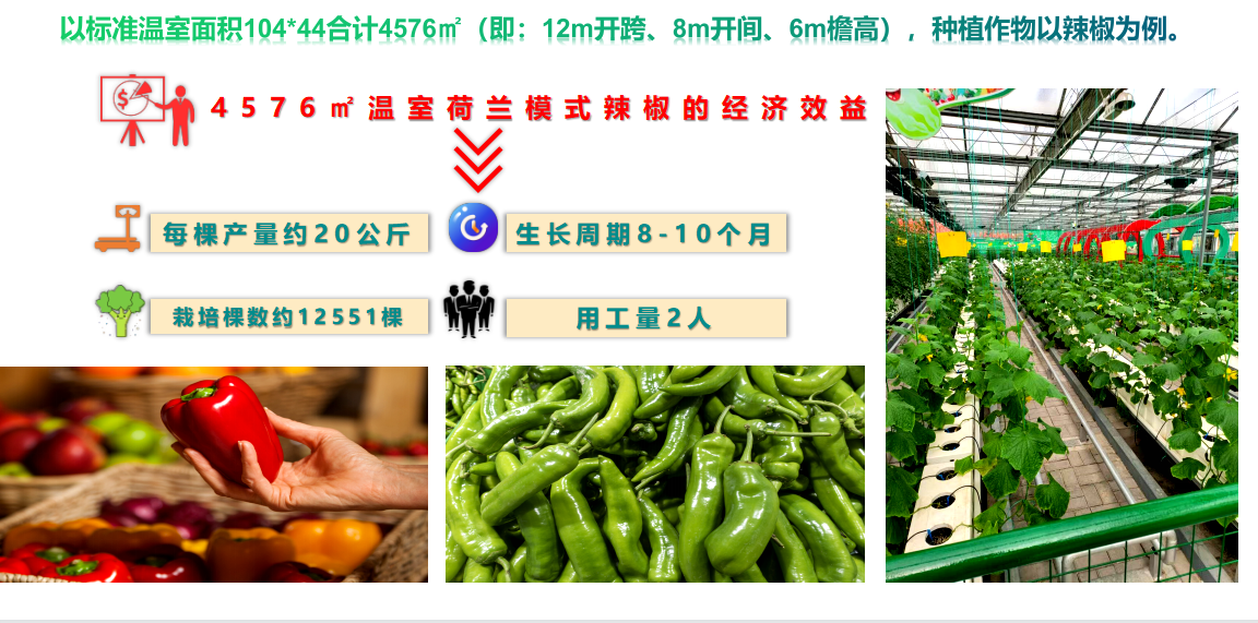 水肥一體化 水肥一體化