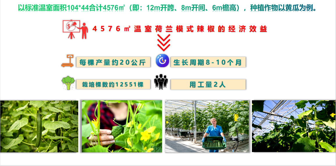 水肥一體化 水肥一體化